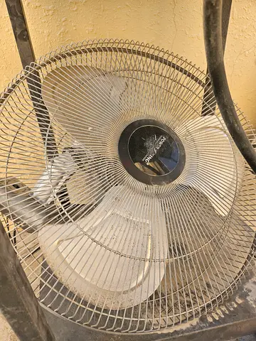Fan