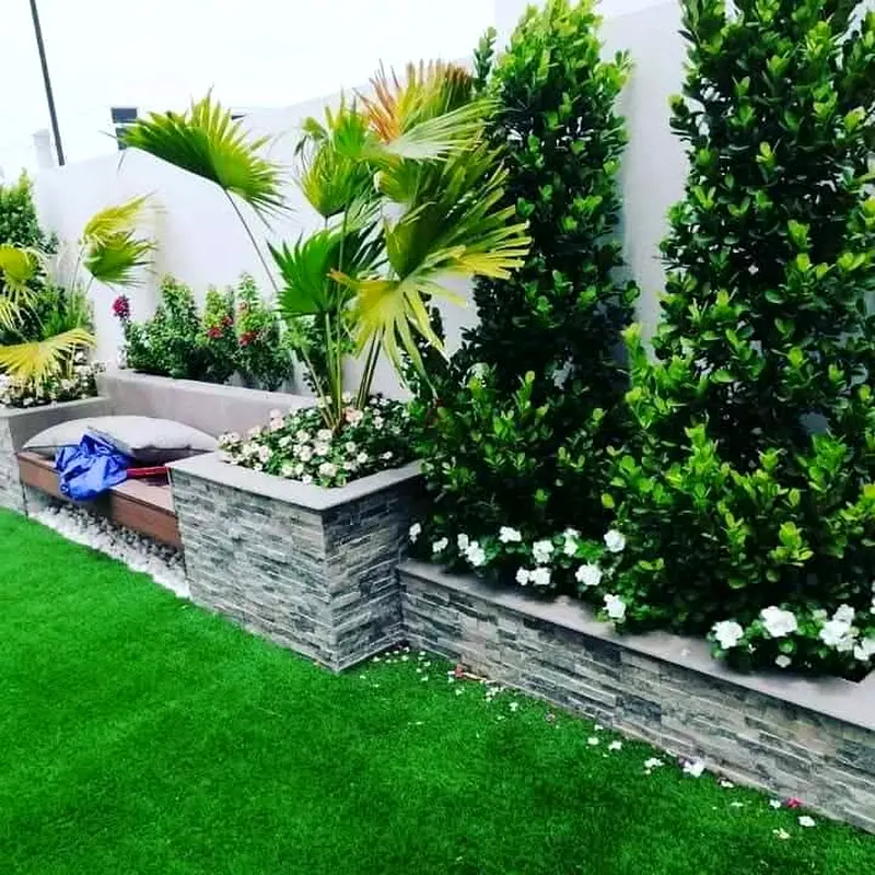 DPV_View_Image_4