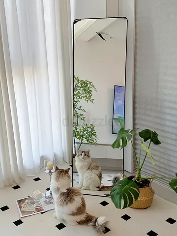 Brand New Mirror Stand
