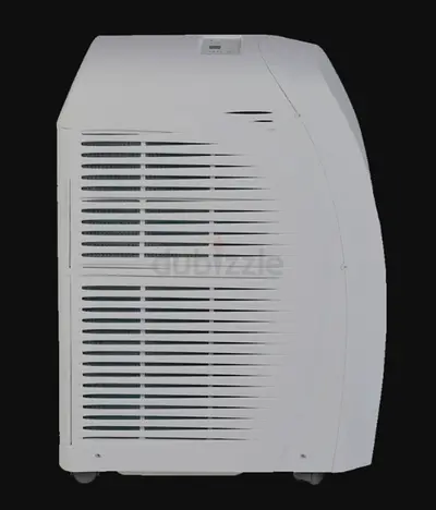 Portable Air Conditioner for Cool Comfort