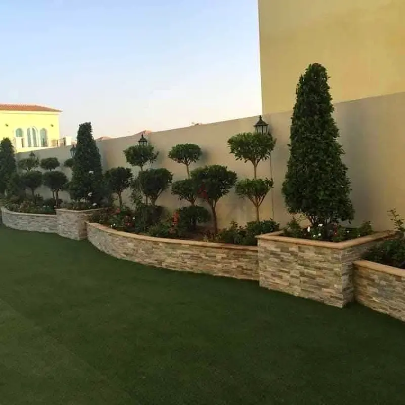 DPV_View_Image_5