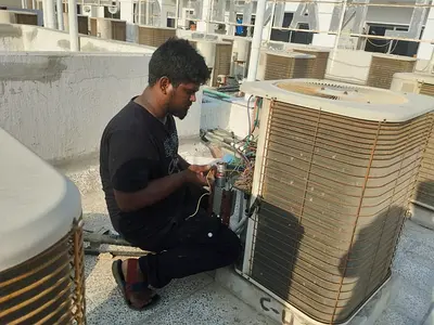 Professional AC Services