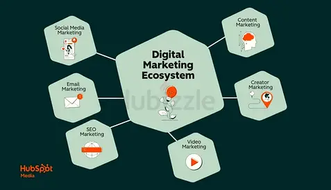 Hosting and Email, Website Design, Shopify, Social Media Marketing, Graphic, Branding etc