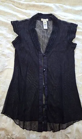 Elegant Sheer Black Blouse