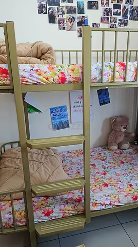 BUNK BED