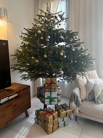 Beautifully Decorated Christmas Tree with Gifts
