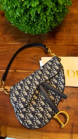 Dior saddle medium bag