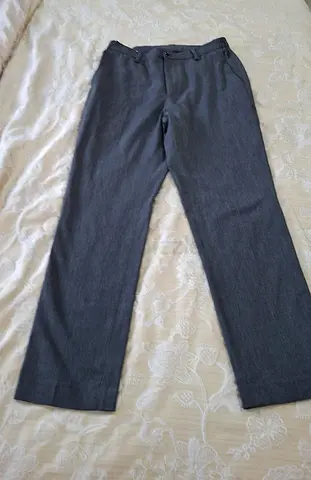 Women Grey Dress Pants