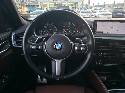 2018 BMW X6 缩略图 17