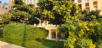 One-bedroom apartment for rent in a prestigious compound