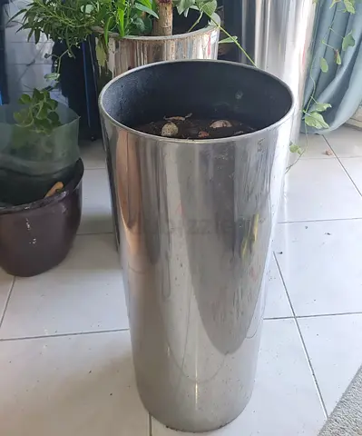 LARGE PLANTER FOR VILLA OR OFFICE