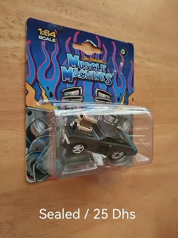 Muscle Machine Dodge Charger (Diecast hot wheels size)