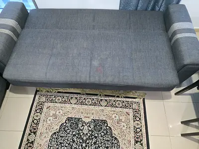 Cozy Gray Sofa with Elegant Patterned Rug