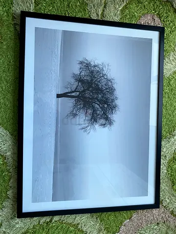 Framed Black and White Landscape Photograph with Tree