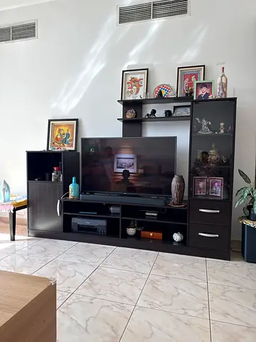 Modern Entertainment Center with Storage