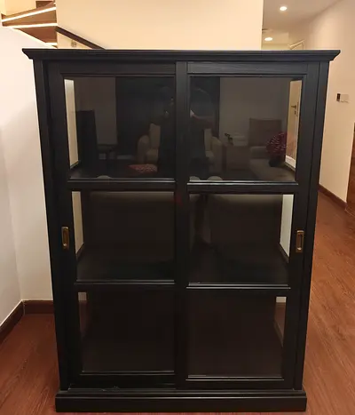 Glassdoor Cabinet