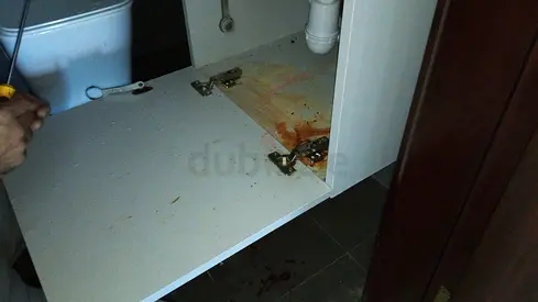 plumbing and cabinet repair work.