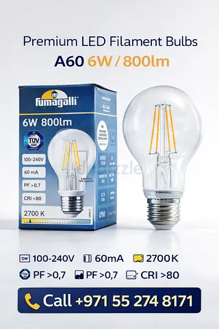 Premium LED Filament Bulb - Energy Efficient A60 6W
