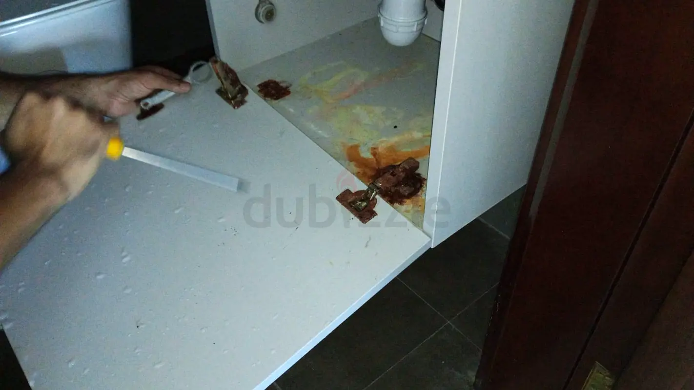 DPV_View_Image_1