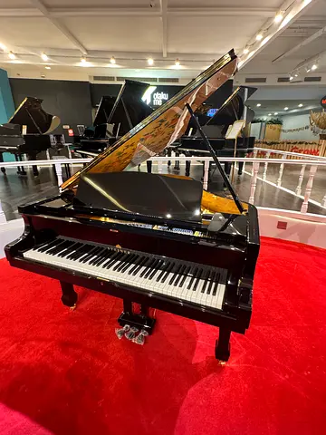 STEINER Grand Piano  HG-168 with self playing, hand-painted interior