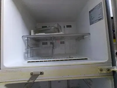 Spacious Refrigerator Freezer Section for Sale