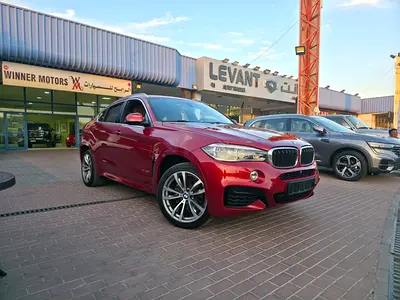 2018 BMW X6 缩略图 3