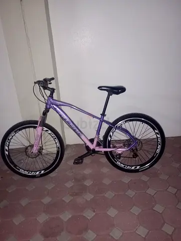 أم القيوين السلمه 3