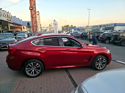 2018 BMW X6 缩略图 6