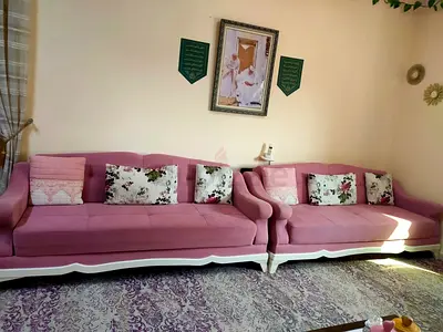 Elegant Pink Velvet Sofa with Floral Cushions