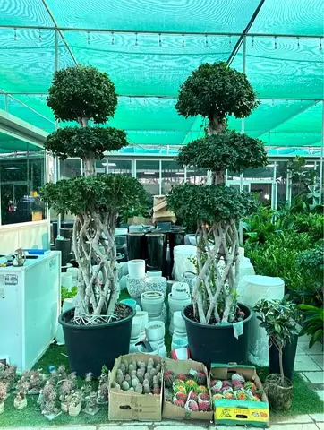 Stylish Artificial Potted Plants for Home Decor