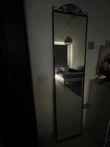 Elegant Full-Length Mirror with Decorative Frame