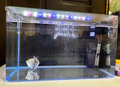 Cute 3 color mode Complete Aquarium Set up