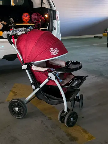 Well-loved Stroller in Great Condition. It has reversible handle/seat