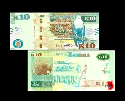 Rare Zambia 10 Kwacha Banknote - Collectors Item