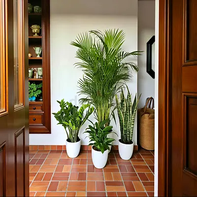 Elegant Indoor Plant Collection in Stylish Pots