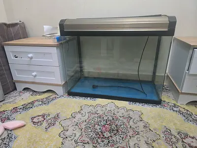 Large aquarium
