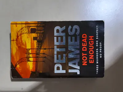 Not Dead Enough by Peter James