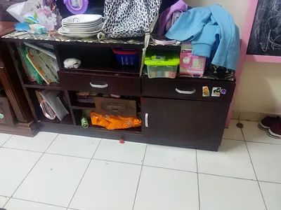 Wooden TV unit and Storage Cabinet for Organizing