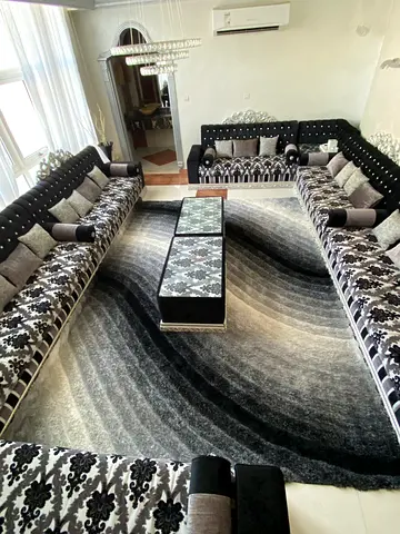 Elegant Modern Sofa Set with Matching Coffee Table and Matching Carpet