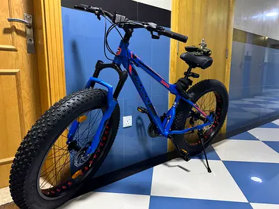 Fat Tire Mountain Bike for Sale