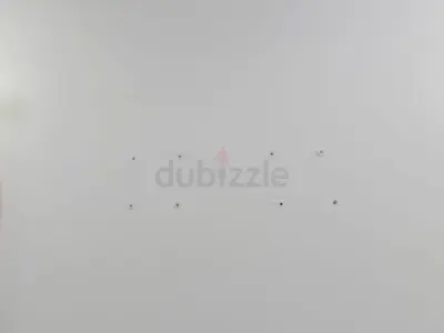 TV Stallion Fixing