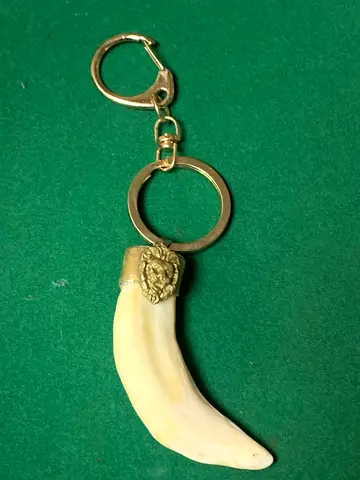 Tiger fang key chain