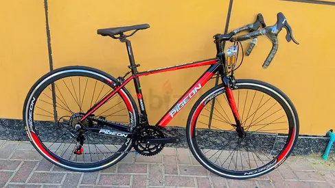 Pigeon Racing Bike in Excellent Condition