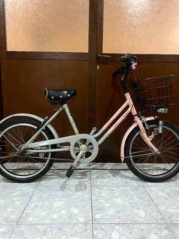 Bridgestone Vegas bike