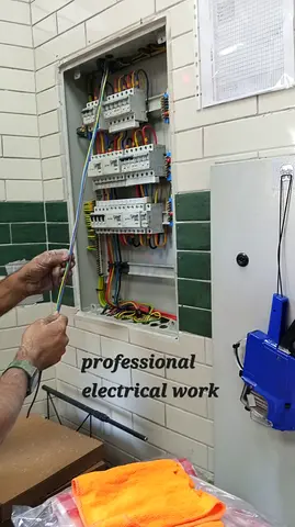 Professional Electrical work