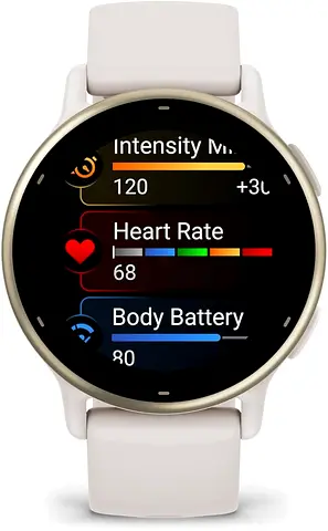 GARMIN Vivoactive Smartwatch