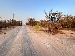 A premium corner residential plot in Al Zahya with freehold ownership and a flexible payment plan, i