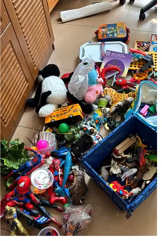 Assorted Toys in good condition