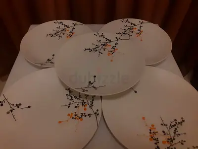 URGENT SALE: 5pc of Dinner Plates