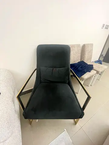 Luxurious armchair (negotiable)